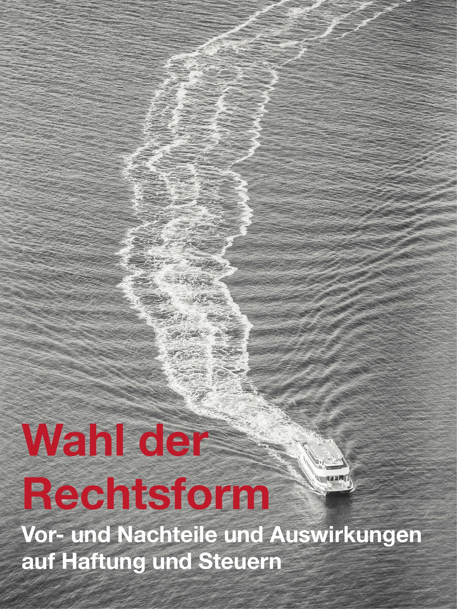Wahl der Rechtsform Wahl der Rechtsform